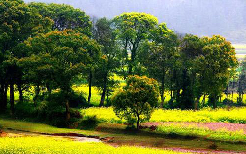 Shangri-La in southwest China's Yunnan Province. (Photo: CRIENGLISH.com)