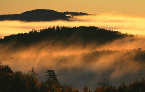 Da Xing An Ling in north China's Heilongjiang Province. (Photo: CRIENGLISH.com)