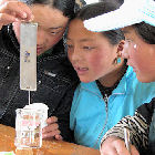 science-class-China_Flickr_pmorgan.jpg