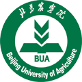 bua